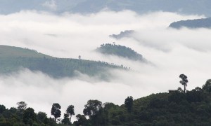 不知道這個？還敢說你懂普洱茶嗎？